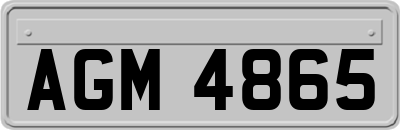 AGM4865