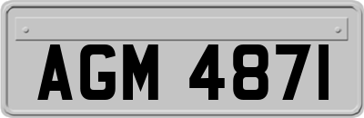 AGM4871