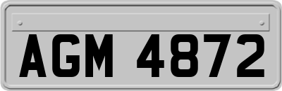 AGM4872
