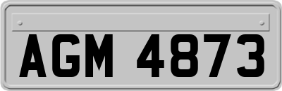 AGM4873
