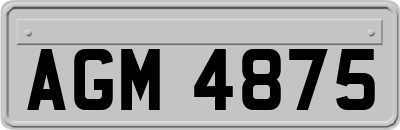 AGM4875
