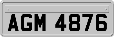 AGM4876