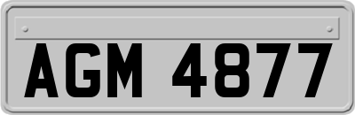 AGM4877