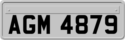 AGM4879