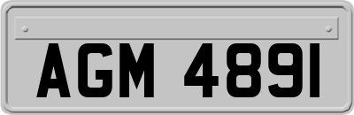 AGM4891