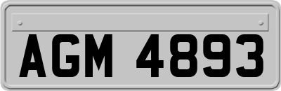 AGM4893