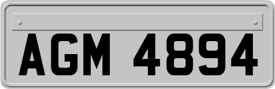 AGM4894