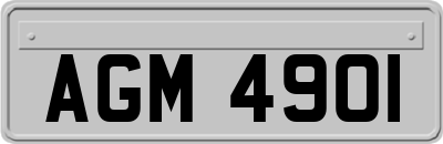 AGM4901
