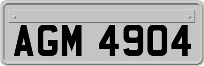 AGM4904