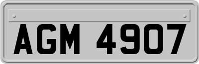AGM4907