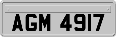 AGM4917