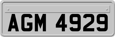 AGM4929