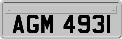 AGM4931
