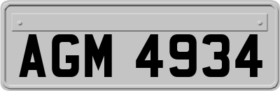 AGM4934