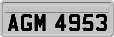 AGM4953