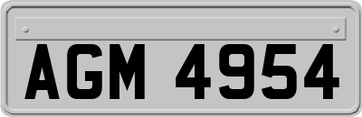 AGM4954