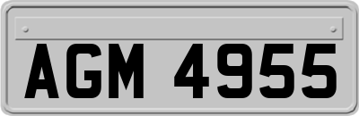 AGM4955