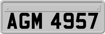 AGM4957