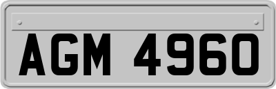 AGM4960