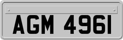 AGM4961