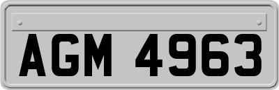 AGM4963