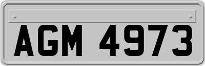AGM4973