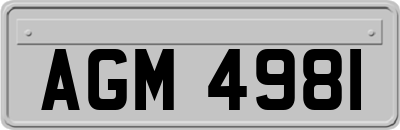 AGM4981