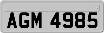 AGM4985