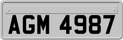 AGM4987