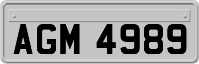 AGM4989