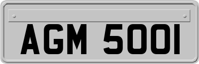 AGM5001