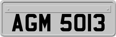 AGM5013