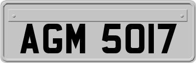AGM5017