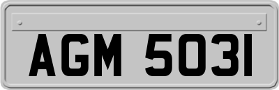 AGM5031