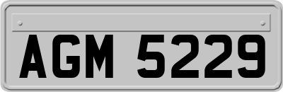 AGM5229