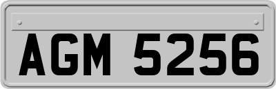 AGM5256