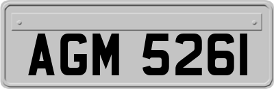 AGM5261