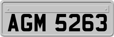 AGM5263