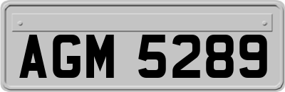 AGM5289