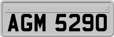 AGM5290