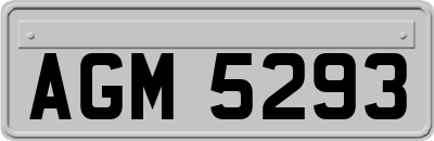 AGM5293