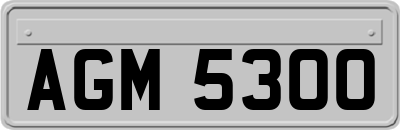 AGM5300