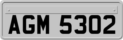 AGM5302