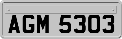 AGM5303