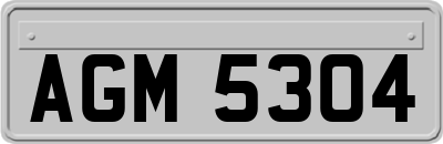 AGM5304