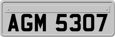 AGM5307