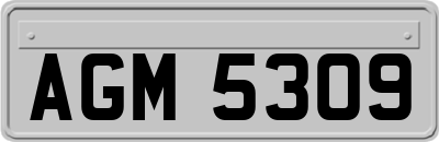 AGM5309