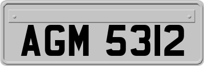 AGM5312