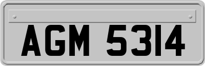 AGM5314