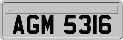 AGM5316